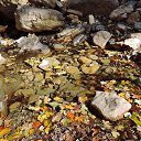  , , 60  -  16  2017        ,,14.10.17.