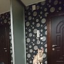 ��������� �� ������� ���� ����������