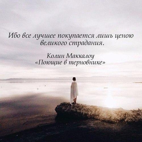  | ,  - 16  2017  06:58