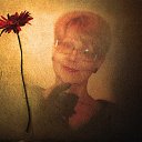 ���� �����, �����-���������, 64 ���� - ��������� 23 ���� 2017 � ������ ����