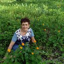 ���� ����, ����������� - ��������� 24 ��� 2017 � ������ ���� ����������