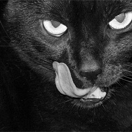 ���� Marat, ������, 53 ���� - ��������� 7 ������� 2017