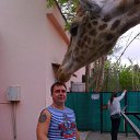 ���� ��������, �����������, 38 ��� - ��������� 12 ��� 2017 � ������ ���� ����������