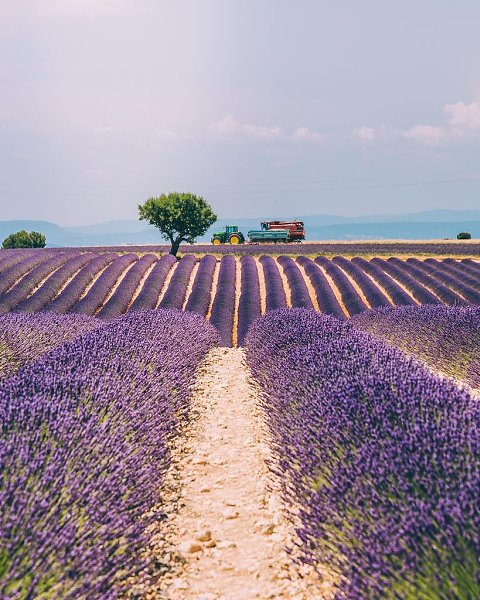 France