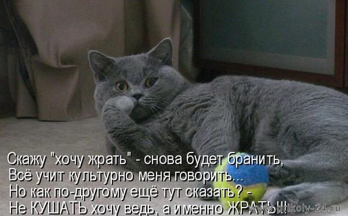   - 11  2017  14:07