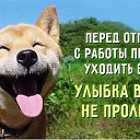 ���� �������, ������ - ��������� 11 ������� 2017 � ������ ���� ����������