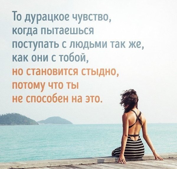    - 6  2017  14:17