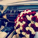 ���� �������, ������, 40 ��� - ��������� 15 ������� 2017