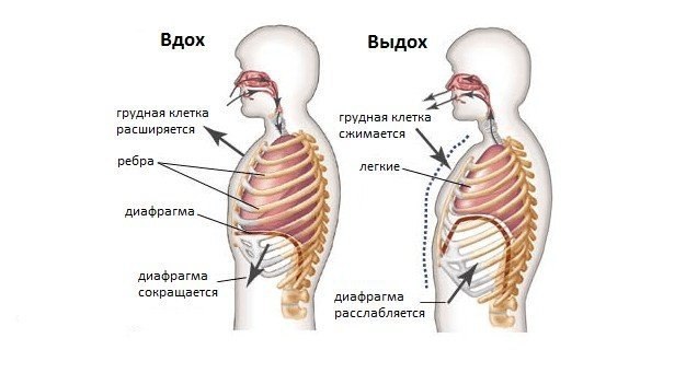 К категории очистительных практик автором «Хатха-Йога-Прадипики» отнесено дыхание типа ...