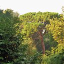  , , 60  -  24  2017   ,&quot;   ..&quot; ,22.10.17