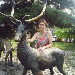 �����, ��������, 53 ����