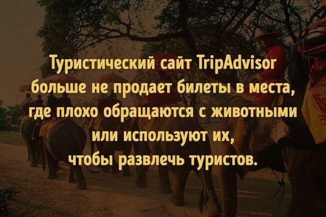 7  ,      . #@rules4life - 7