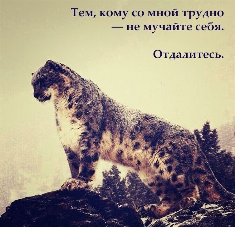 , , , ,  - 9  2017  11:34