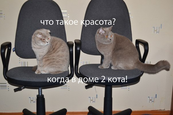    - 17  2017  08:16