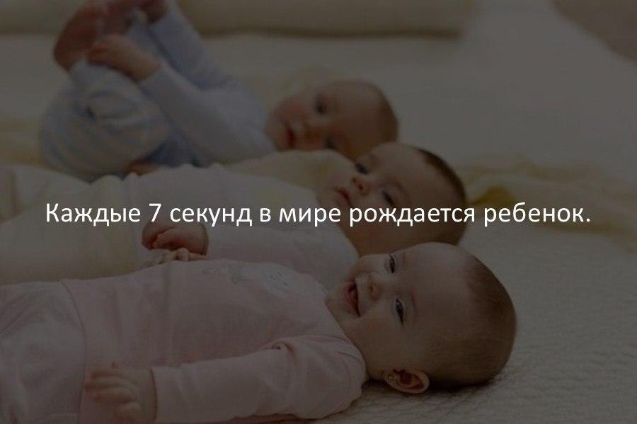   - 17  2017  12:04