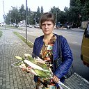 ���� ������, �����, 44 ���� - ��������� 7 �������� 2017 � ������ ������ ��������