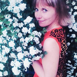 ����, ����������, 43 ����