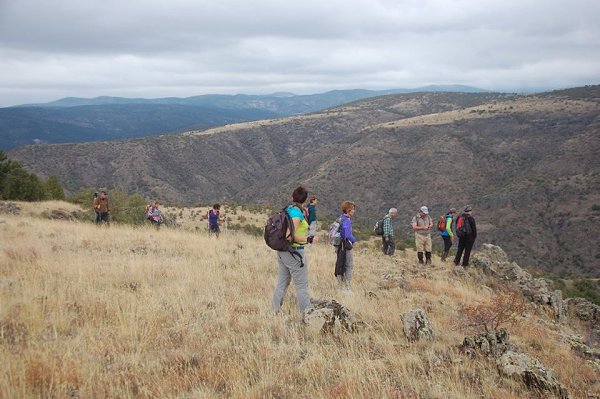 Pevril - 17 ������� 2017 � 09:18 - 2