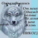  ,  -  11  2017    
