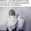 ���� ������������, �����, 32 ���� - ��������� 28 ��� 2017 � ������ ������ ��������