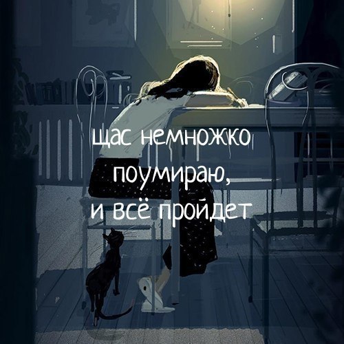 . - 8  2017  16:47