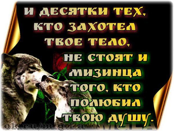 https://fotostrana.ru/public/347110/