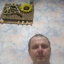 ���� �������, �������, 47 ��� - ��������� 24 ������� 2017