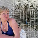  , , 39  -  19  2017     2017