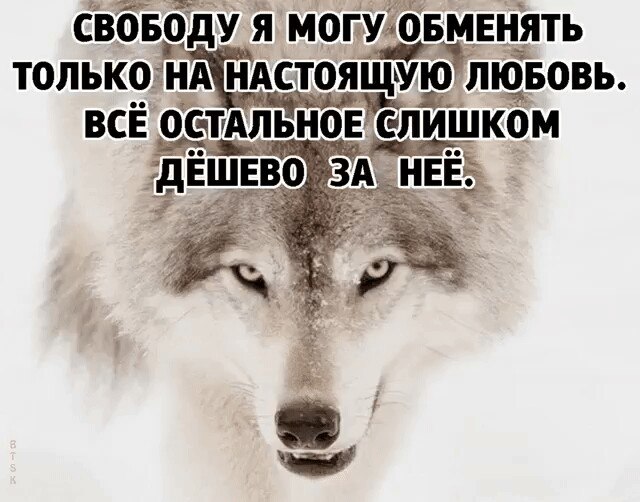 Оксана Долгих - 10 августа 2017 в 07:53