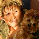 ���� ������, ����������, 52 ���� - ��������� 31 ������� 2017