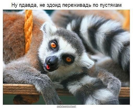 ***Victoria Viktorovna*** - 1  2017  14:17
