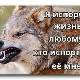 ���� ����, ������-��-����, 45 ��� - ��������� 22 ���� 2017