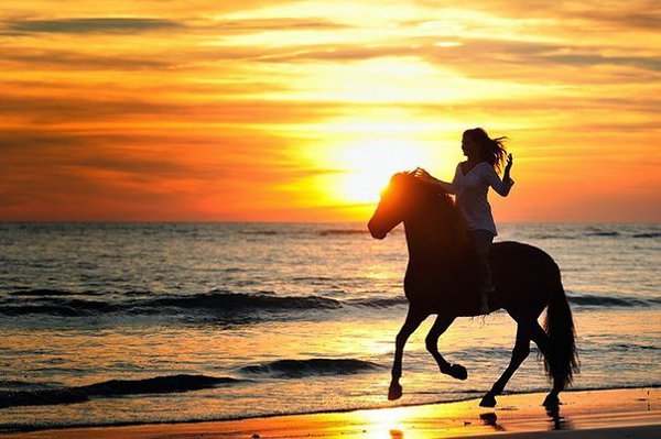      ..............................