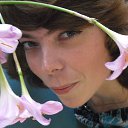 ���� ���������, �������, 42 ���� - ��������� 9 ������ 2017 � ������ ���� ����������