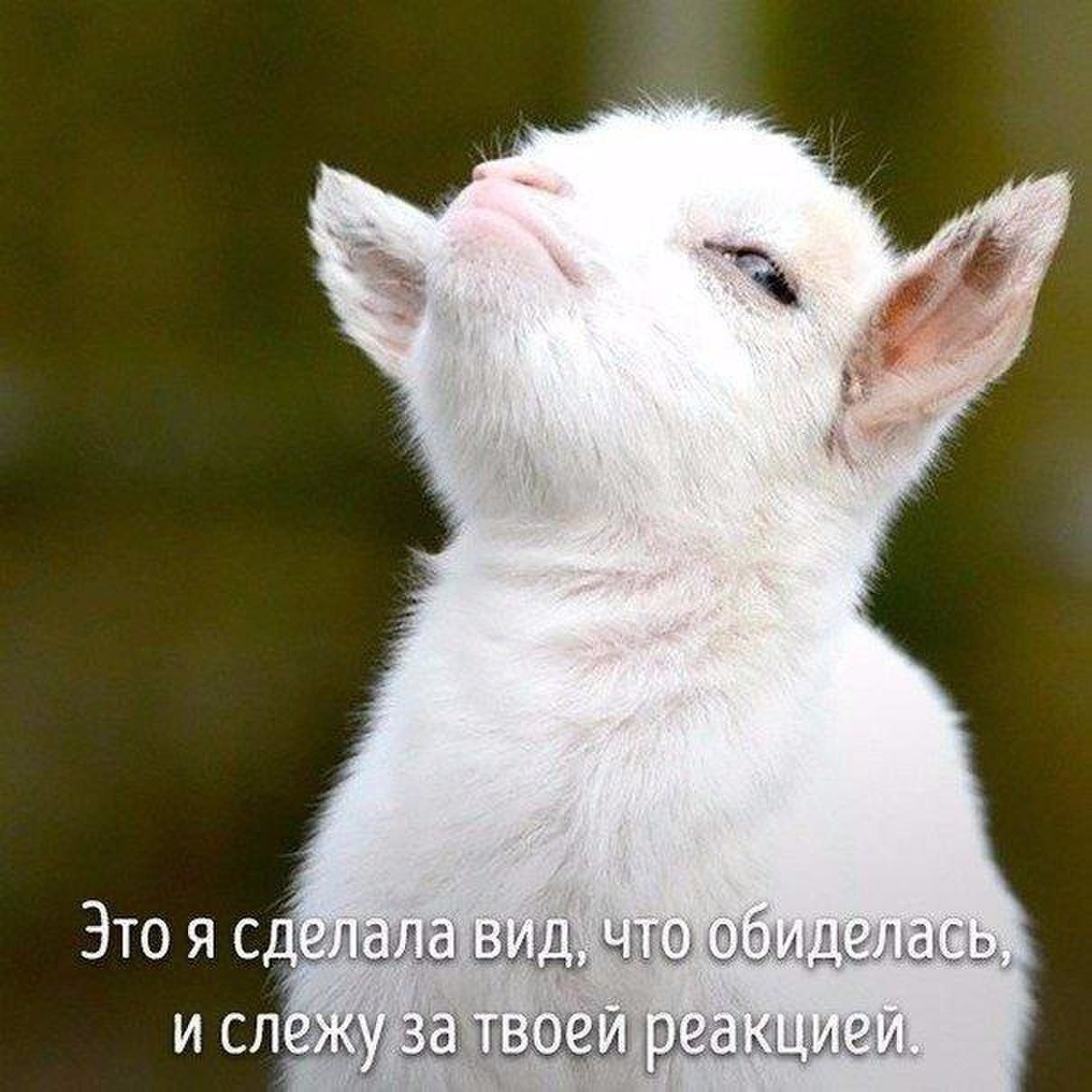 ***Victoria Viktorovna*** - 21  2017  14:47