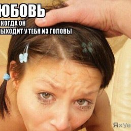 ���� �������, ������ ��������, 40 ��� - ��������� 29 ������ 2017