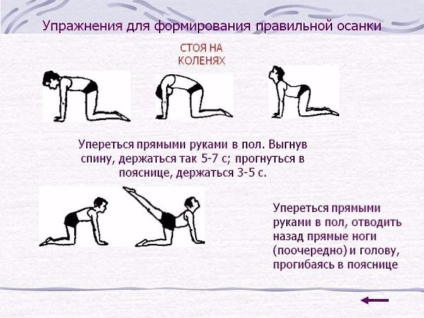 Упражнения для красивой осанки и против болей в спине .Результата добьетесь при регулярных ... - 2