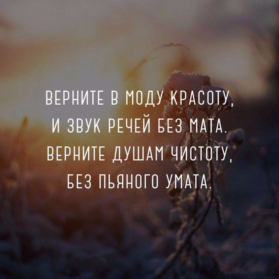   - 1  2017  12:55