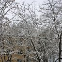 ���� ����, ������� - ��������� 6 ������ 2017 � ������ ������ ��������