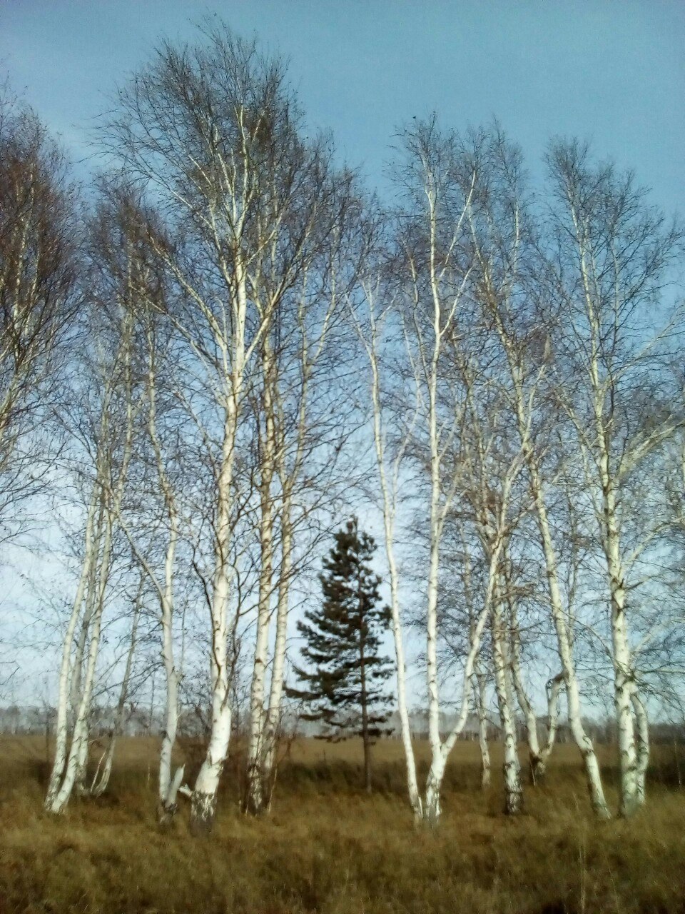  - 15  2017  13:10
