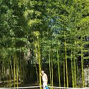 ���� ������, ���������, 38 ��� - ��������� 25 �������� 2017 � ������ ���������