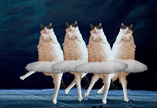    ,     - 2