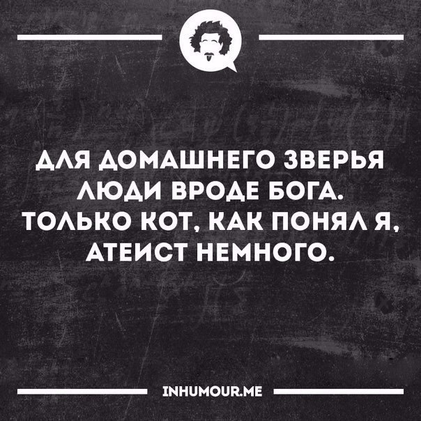   - 17  2017  04:26