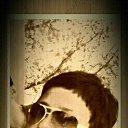 ���� ��������, ������� - ��������� 23 ���� 2017 � ������ ���� ����������