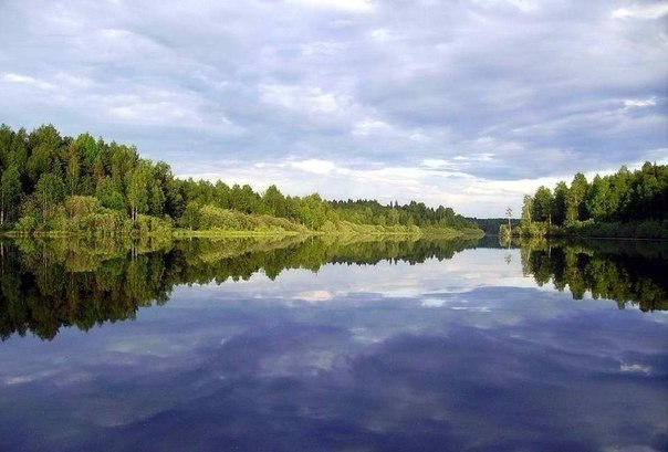 15   ,    . 1.  -.      ...