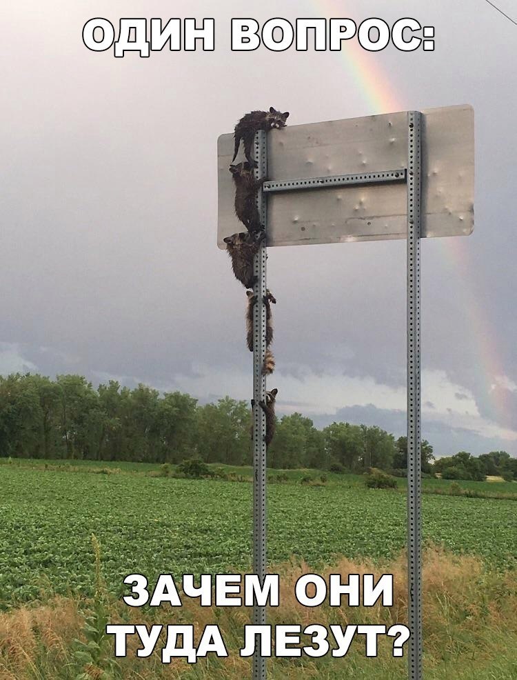    :D - 5  2017  23:31