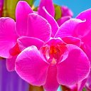  ,  -  15  2017       Ż