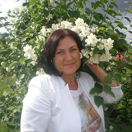 �������, ���������, 50 ���