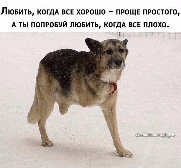 , , , ,  - 24  2017  17:01