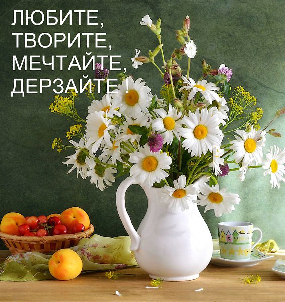   - 3  2017  10:48